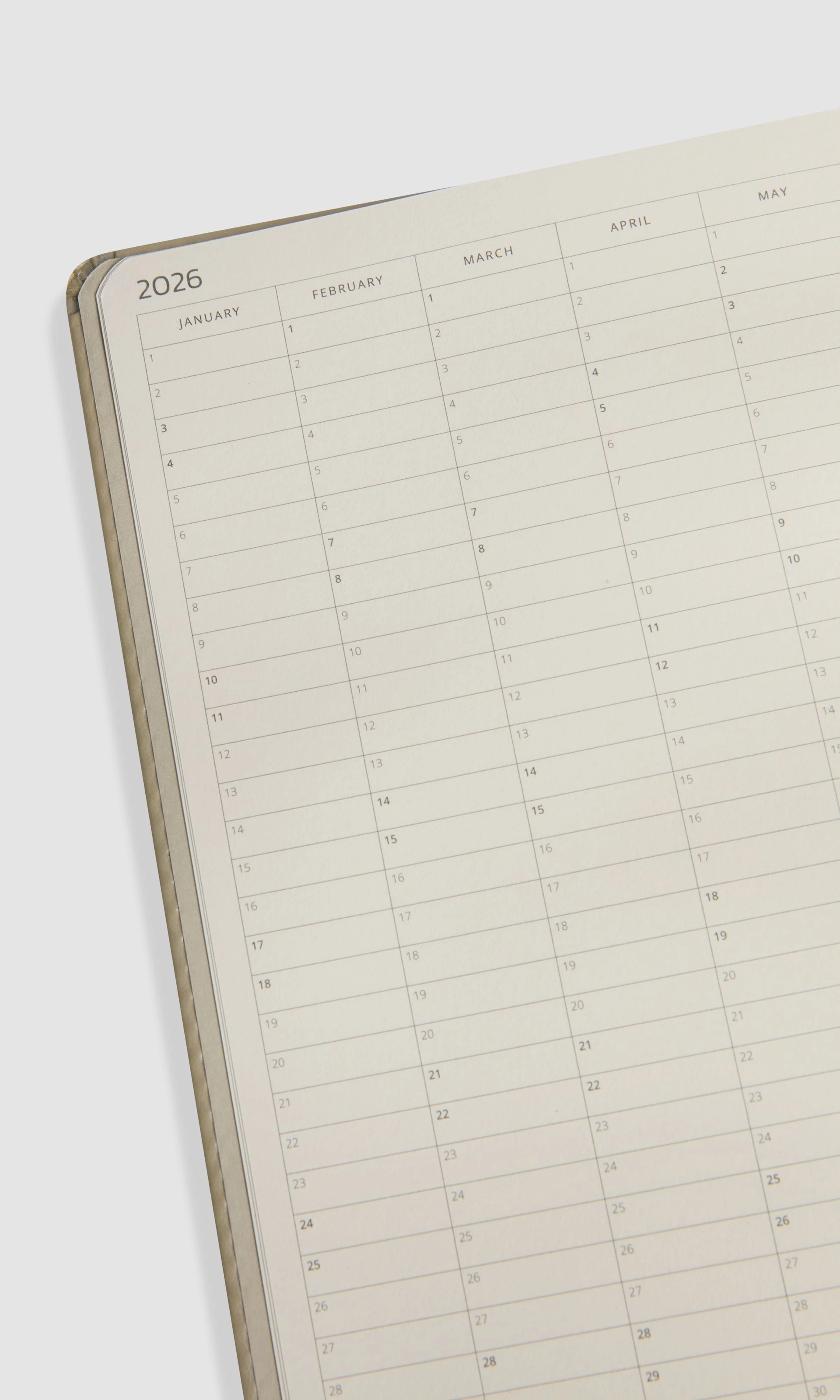 2026 WEEKLY HORIZONTAL PLANNER - ROOT - Image 10
