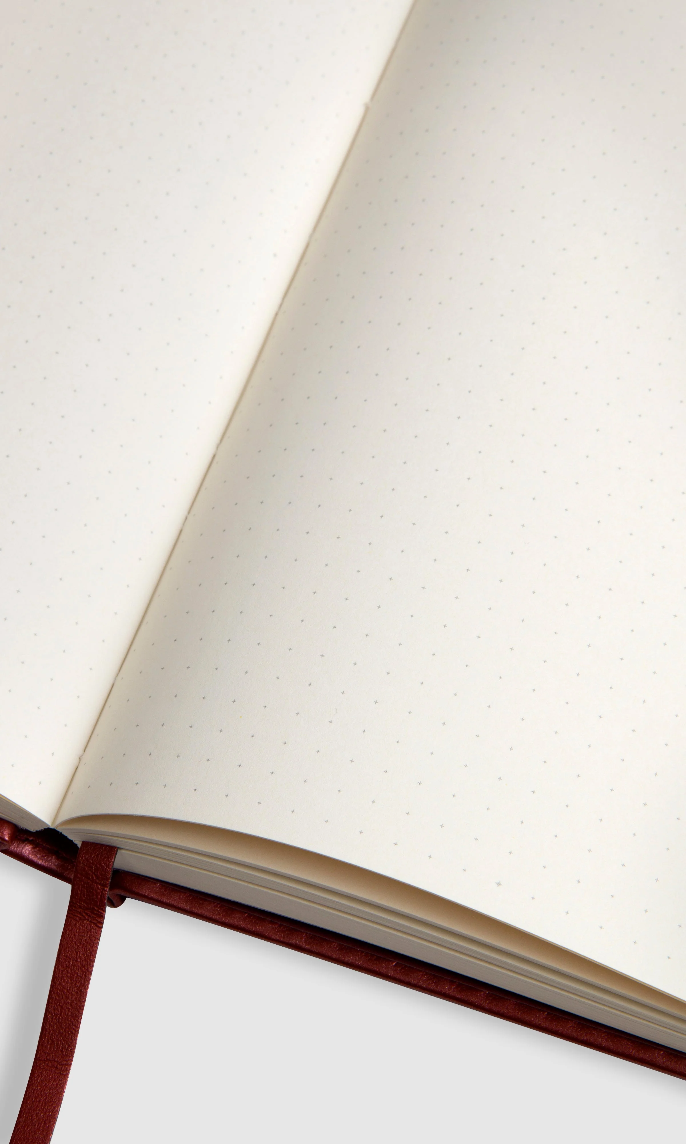 BULLET JOURNAL - SPARK - Image 9