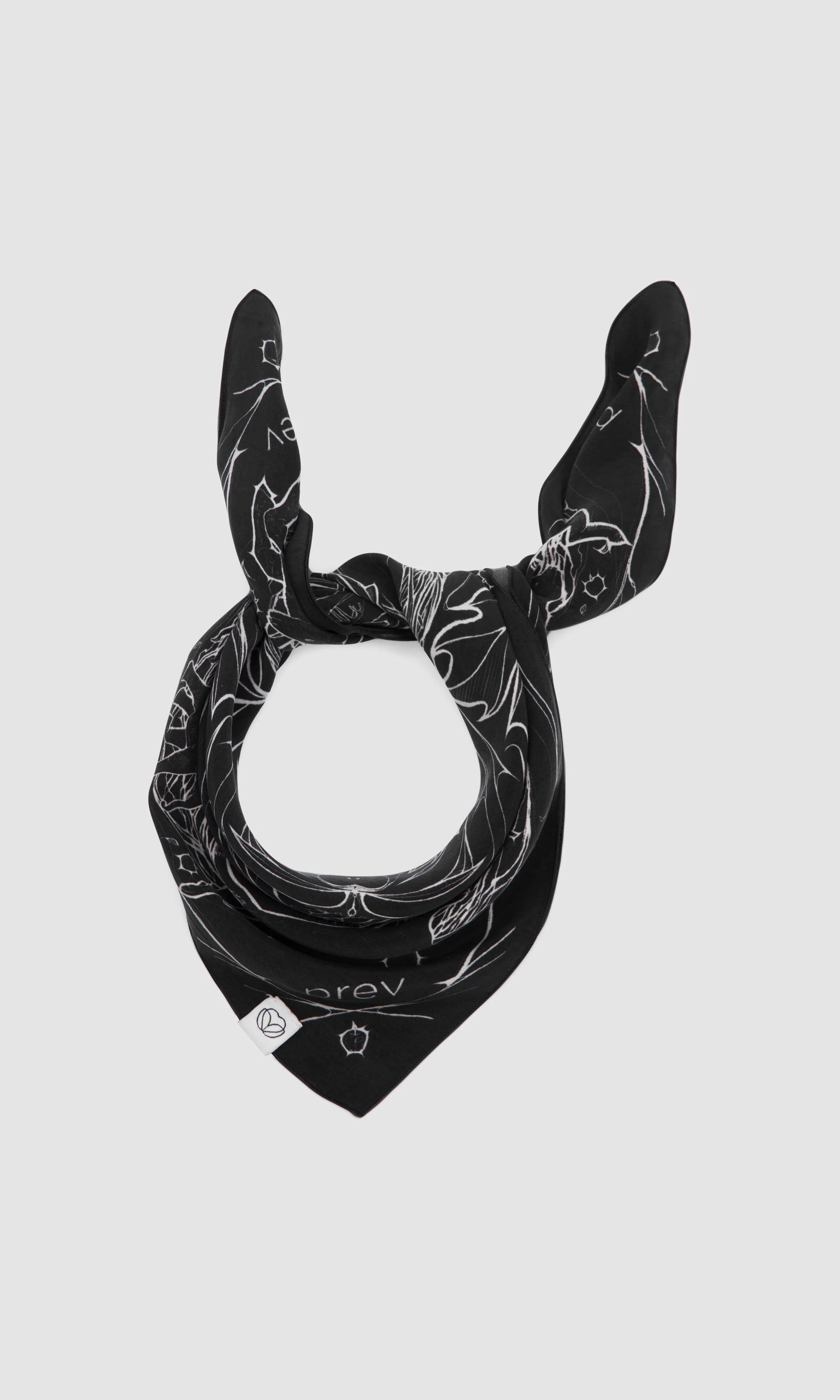 EARTHLINGS BANDANA - BLACKBOARD - Image 4