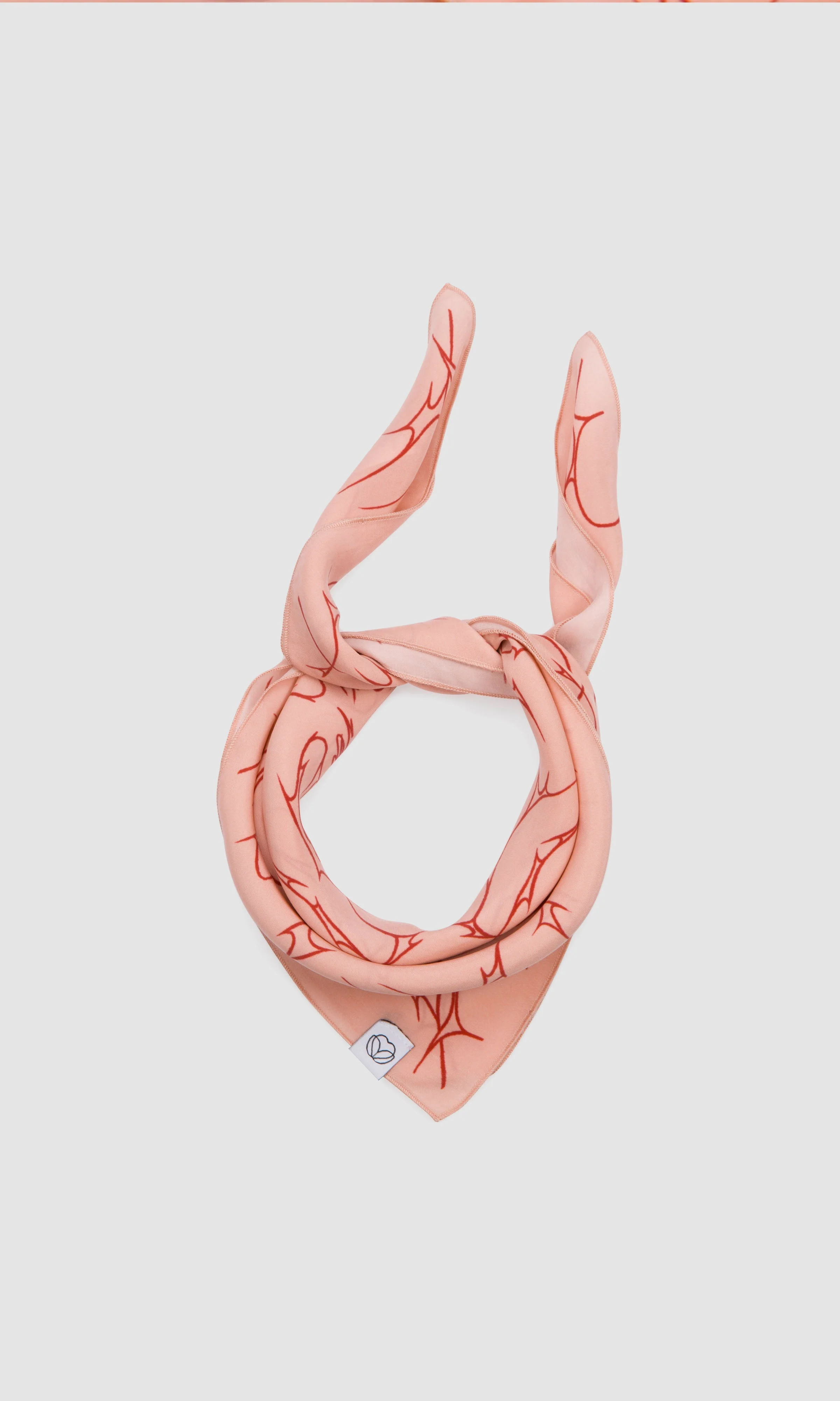 SELF-CARE BANDANA - ROSY - Image 4